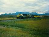 Alaska Railroad, die Eisenbahn die alles transportiert.