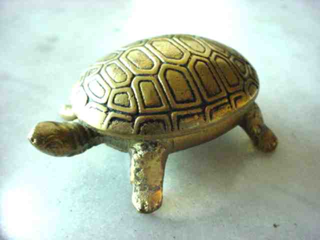 Messing Pillendose in Form einer Schildkröte.